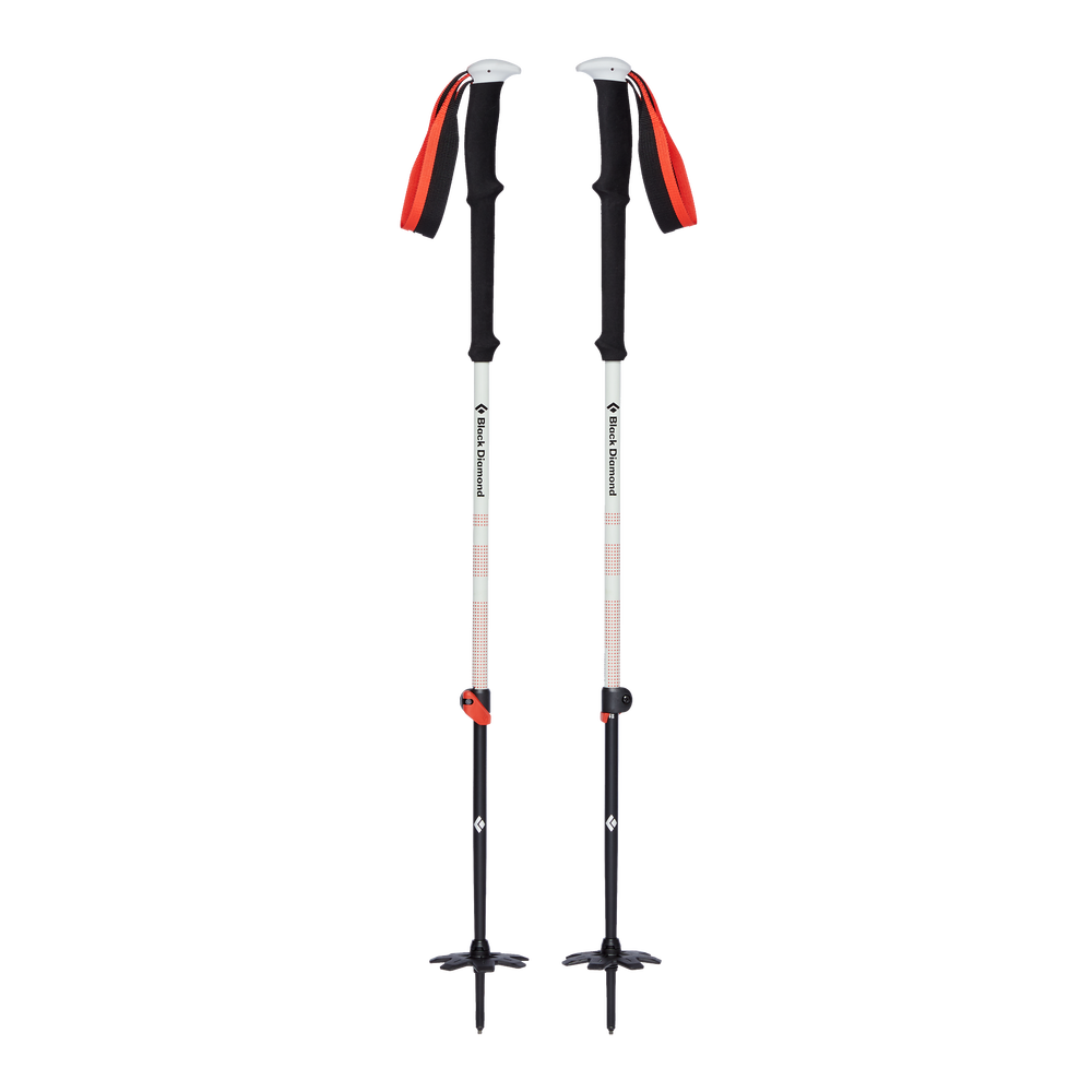 EXPEDITION 2 SKI POLES